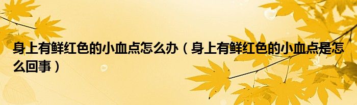 身上有鮮紅色的小血點(diǎn)怎么辦（身上有鮮紅色的小血點(diǎn)是怎么回事）