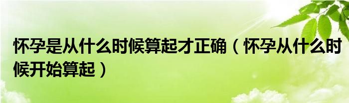 懷孕是從什么時(shí)候算起才正確（懷孕從什么時(shí)候開(kāi)始算起）