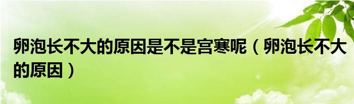 卵泡長不大的原因是不是宮寒呢（卵泡長不大的原因）