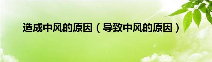 造成中風(fēng)的原因（導(dǎo)致中風(fēng)的原因）