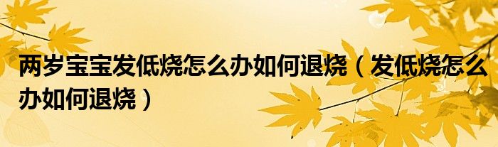 兩歲寶寶發(fā)低燒怎么辦如何退燒（發(fā)低燒怎么辦如何退燒）