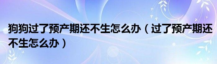 狗狗過了預(yù)產(chǎn)期還不生怎么辦（過了預(yù)產(chǎn)期還不生怎么辦）