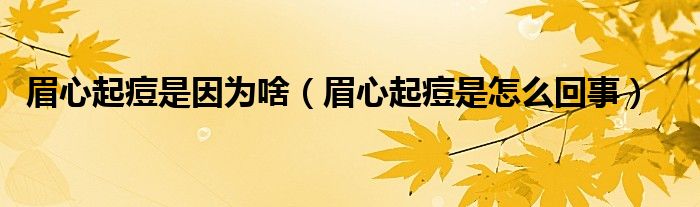 眉心起痘是因?yàn)樯叮夹钠鸲皇窃趺椿厥拢? /></span>
		<span id=