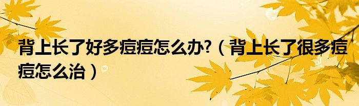 背上長了好多痘痘怎么辦?（背上長了很多痘痘怎么治）