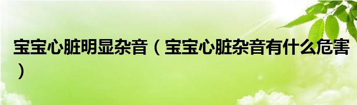 寶寶心臟明顯雜音（寶寶心臟雜音有什么危害）