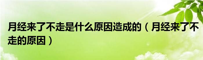 月經(jīng)來(lái)了不走是什么原因造成的（月經(jīng)來(lái)了不走的原因）