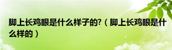 腳上長(zhǎng)雞眼是什么樣子的?（腳上長(zhǎng)雞眼是什么樣的）