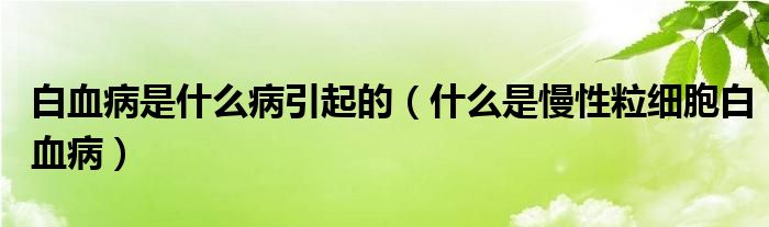 白血病是什么病引起的（什么是慢性粒細(xì)胞白血?。?class='thumb lazy' /></a>
		    <header>
		<h2><a  href=