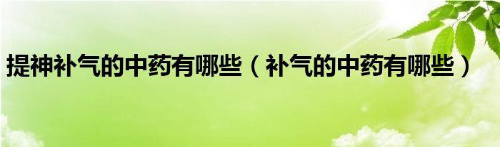 提神補(bǔ)氣的中藥有哪些（補(bǔ)氣的中藥有哪些）