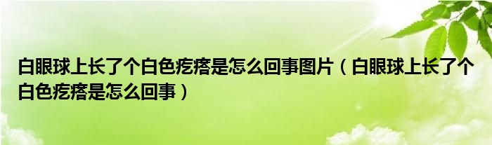 白眼球上長了個(gè)白色疙瘩是怎么回事圖片（白眼球上長了個(gè)白色疙瘩是怎么回事）