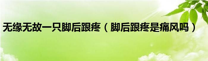 無(wú)緣無(wú)故一只腳后跟疼（腳后跟疼是痛風(fēng)嗎）