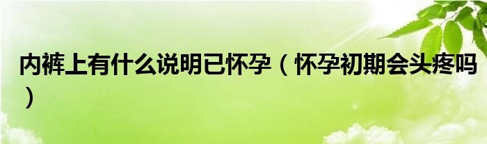 內(nèi)褲上有什么說(shuō)明已懷孕（懷孕初期會(huì)頭疼嗎）