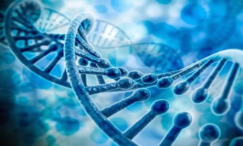基因組遷移分析顯示抗生素抗性從人類傳播到動(dòng)物