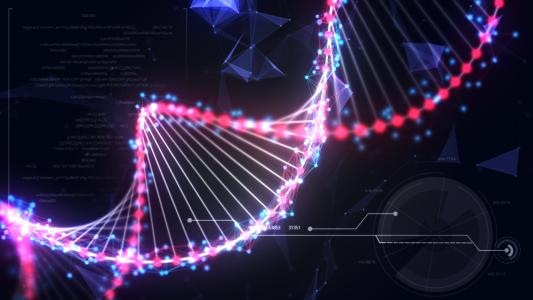 從蚊子中恢復(fù)人類(lèi)DNA