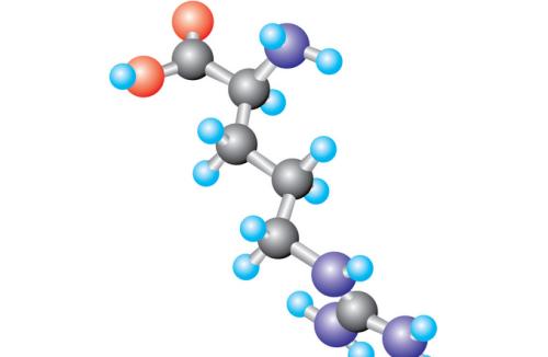 科學(xué)家研究細(xì)胞回路如何回收蛋白質(zhì)