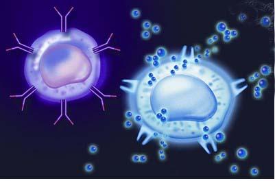 阻止免疫細胞中的能量產生有助于腫瘤逃脫治療