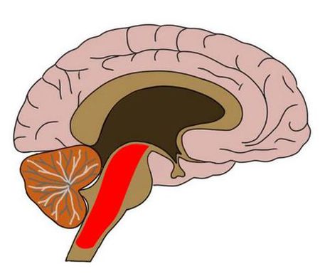 腦震蕩后的視力癥狀限制了孩子重返教室的能力